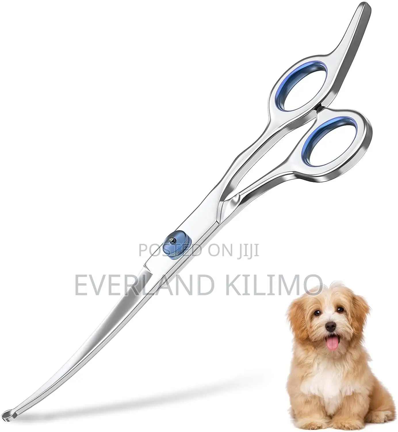 Pet Grooming Scissors - Curved