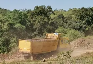 Eicher Tipper