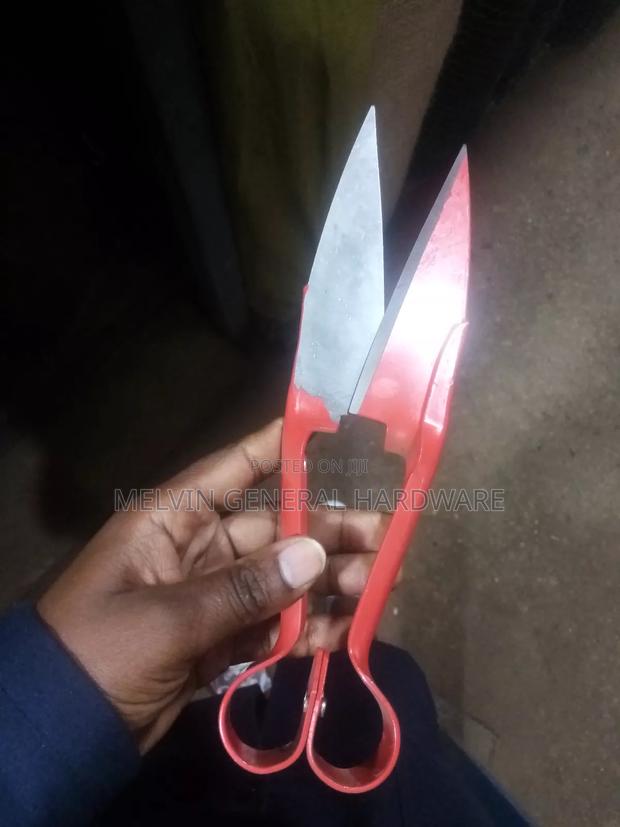 Goat /Sheep Scissors - main view