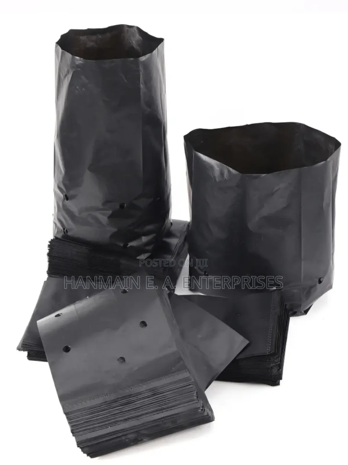 Seedlings Bags For All Trees Avocado, Coffee, Tea, Mango Etc
