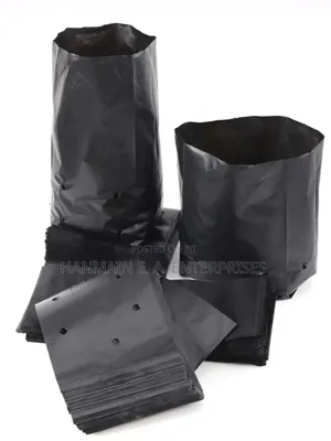 Seedlings Bags For All Trees Avocado, Coffee, Tea, Mango Etc