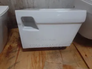 Wall Toilet