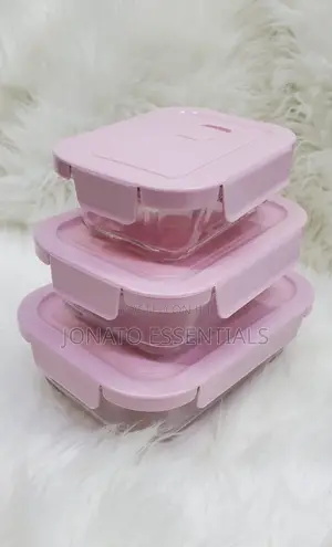 Glass Snack or Lunch Box With Lunch Bag