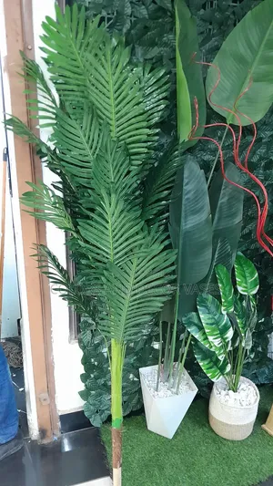 Palm Tree 1.5m Long Plant Alone
