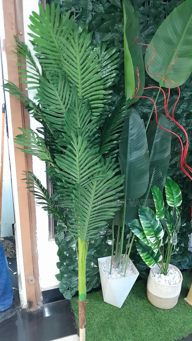 Palm Tree 1.5m Long Plant Alone