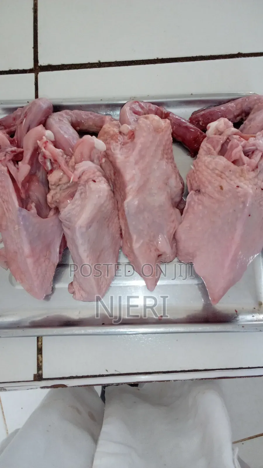 Chicken Back Bone