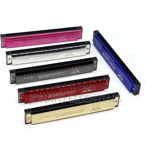 24 Hole Professional Harmonica - main view