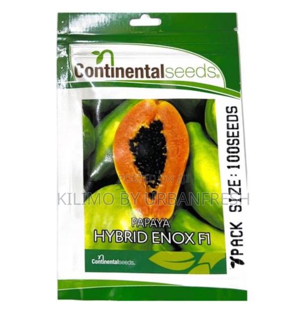 Continental Sharp F1 Papaya 100 Seeds. - main view