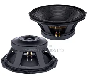 Nr-Pd1890 RMS 3000w 152mm/ 6 Inch Voice Coil 300mm Subwoofer