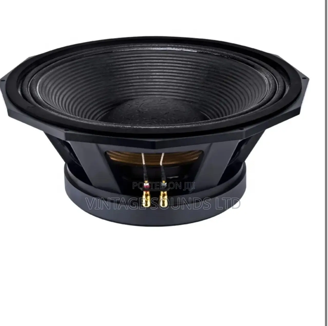 Nr-pd1890 152mm/ 6 Inch Voice Coil 300mm Subwoofer