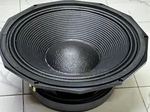 Nr-Pd1890 152mm /6” Voice Coil 300mm Double Magnet Speaker