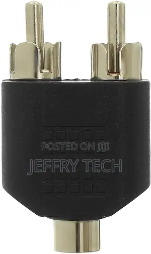 2 Rca to Aux 3.5 Converter Cable