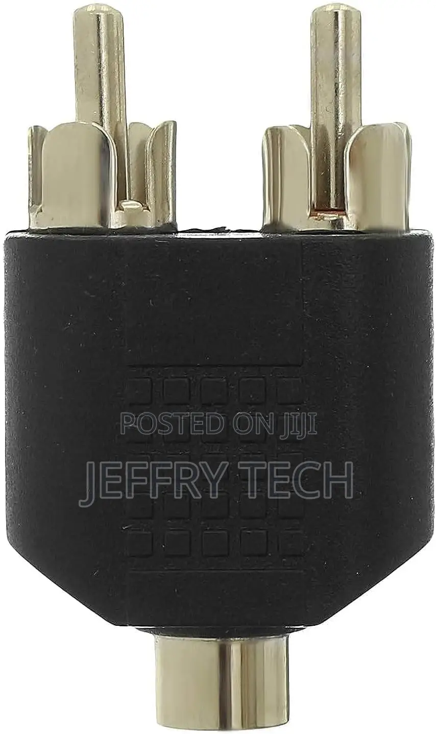 2 Rca to Aux 3.5 Converter Cable