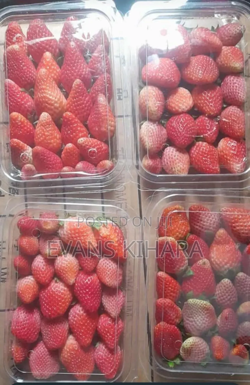 Fresh Strawberries