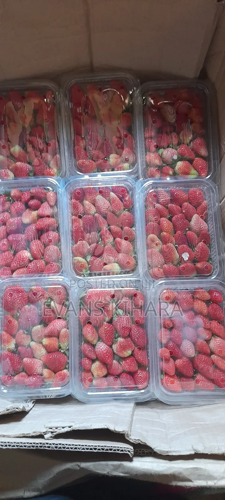 Fresh Strawberries