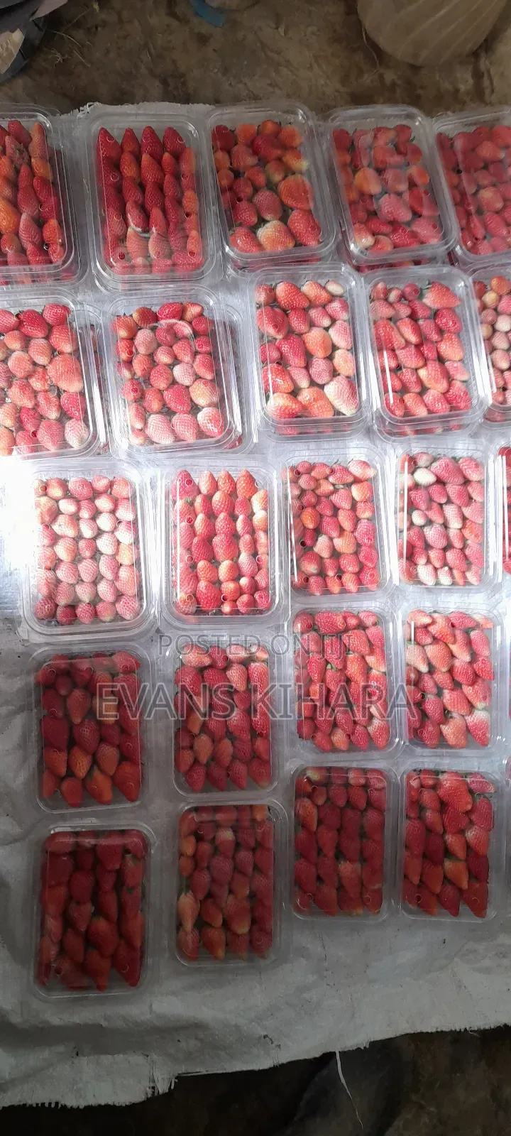 Fresh Strawberries