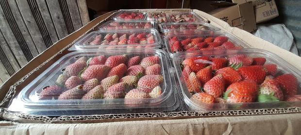 Fresh Strawberries - thumbnail 6