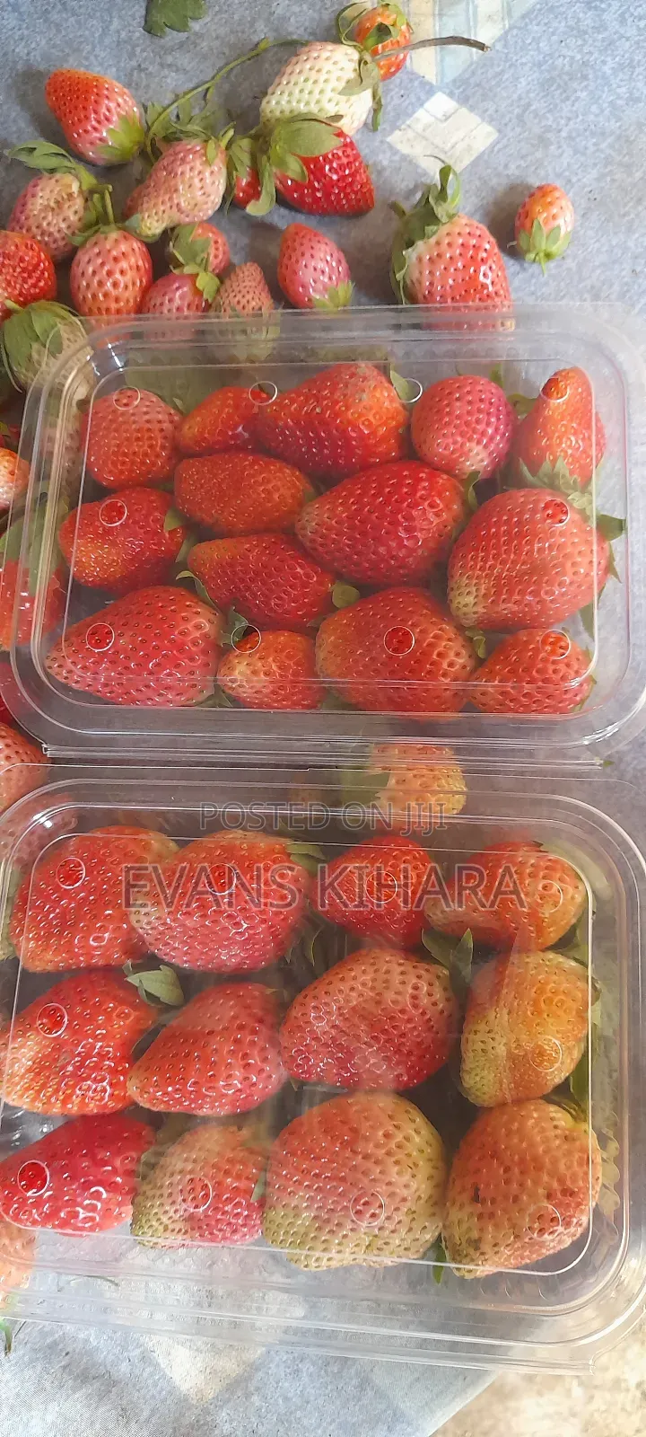 Fresh Strawberries