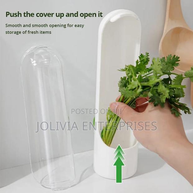 Herb Fridge Storage Container.