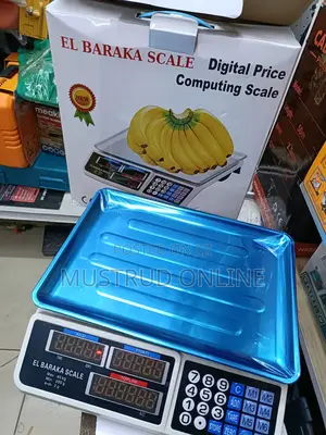 Price Computing Scale