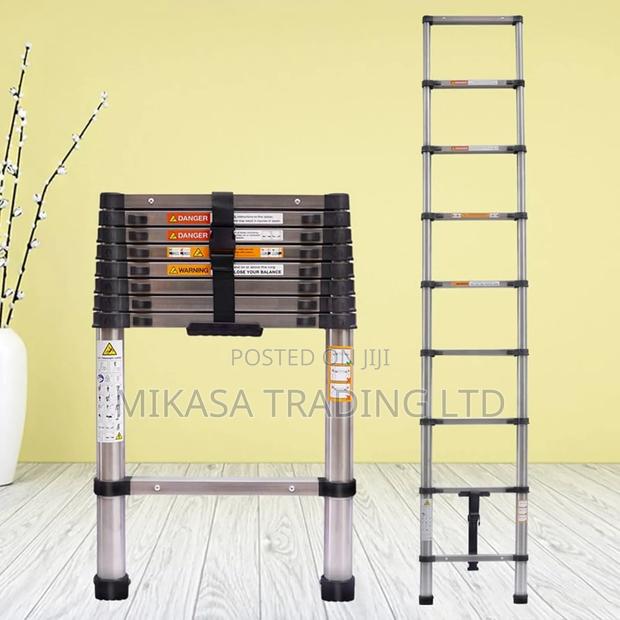 Telescopic Ladder - main view