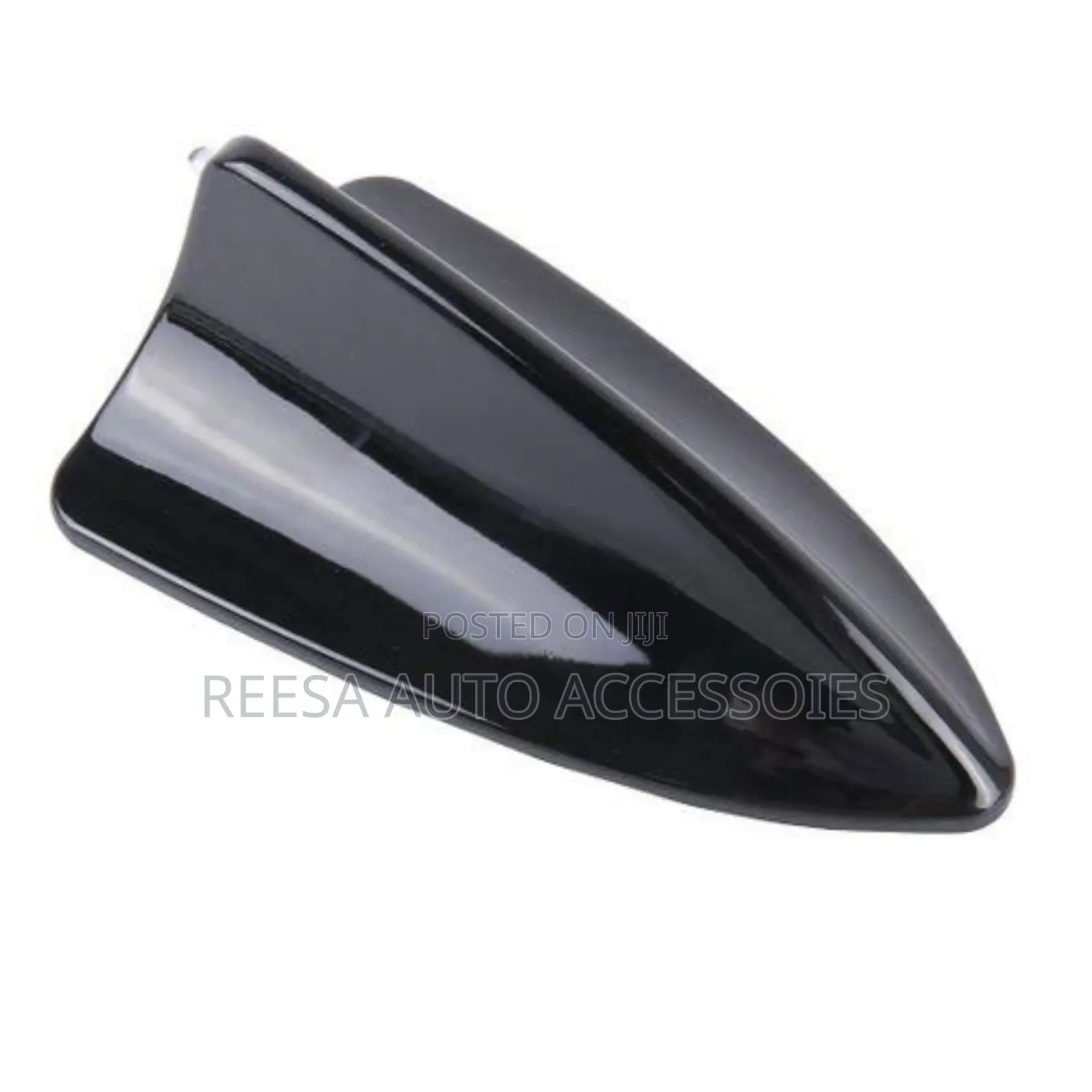 Dolphin Aerial Black
