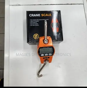 300kg Mini Crane