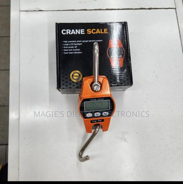 300kg Mini Crane