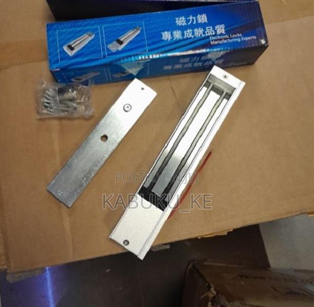 Magnetic Locks - main view