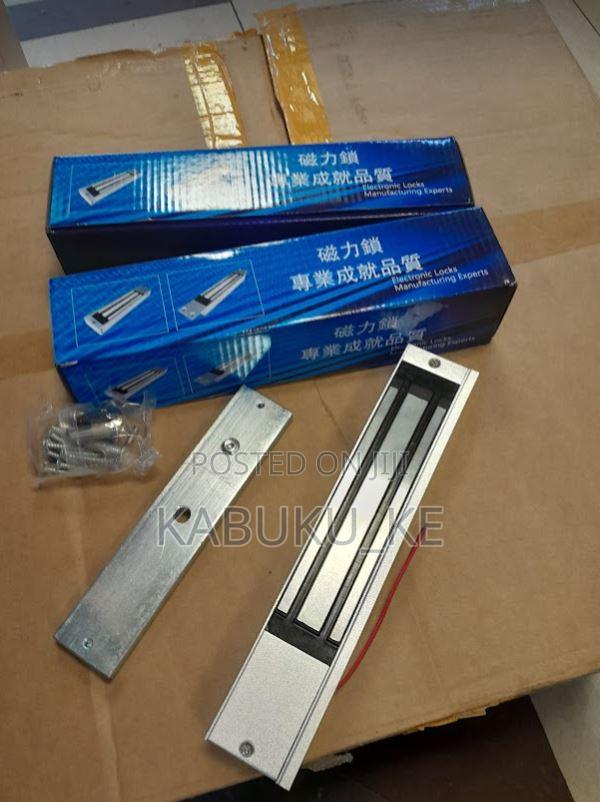 Electromagnetic Locks - main view