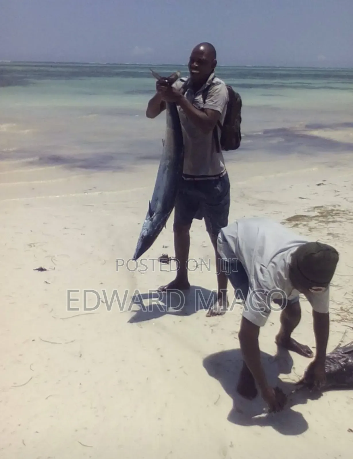 1bdrm Apartment in Diani Beach for sale
