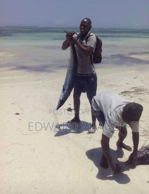 1bdrm Apartment in Diani Beach for sale - thumbnail 8