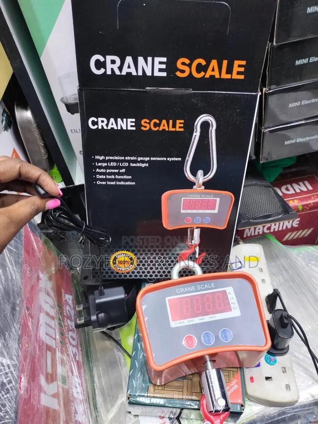 Crane Scale 500kg - main view