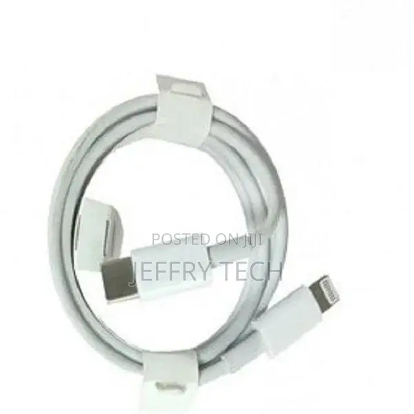 iPhone 11 Pro Charger Cable