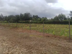 3 Parcels of Quarter Acre Plots for Sale in Ngong Memusi.