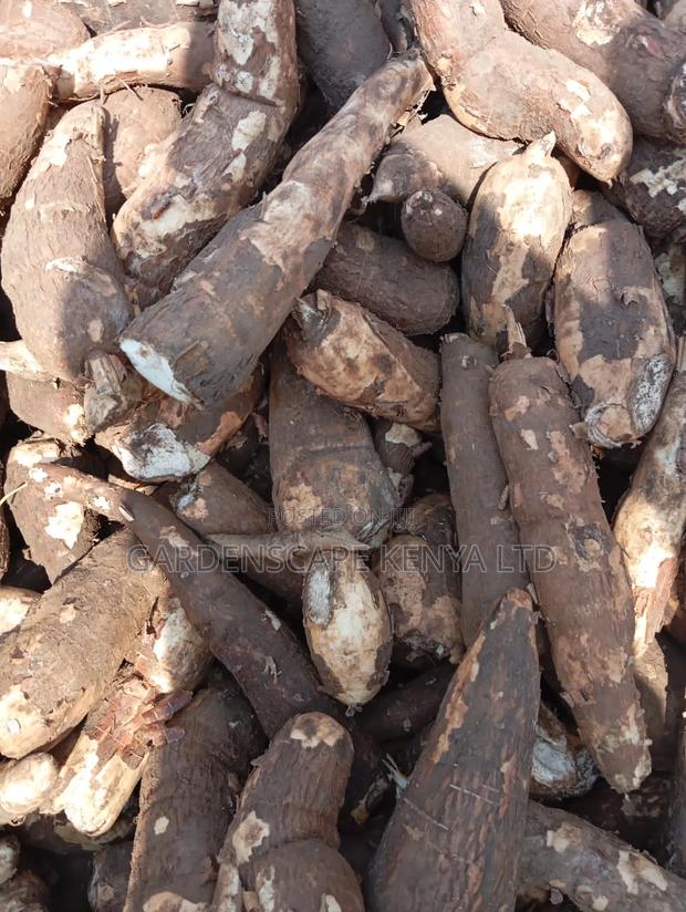 Raw and Fresh Cassava - main view