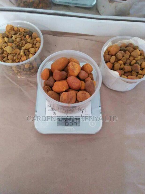 Ox Gallstones Per Gram - thumbnail 2