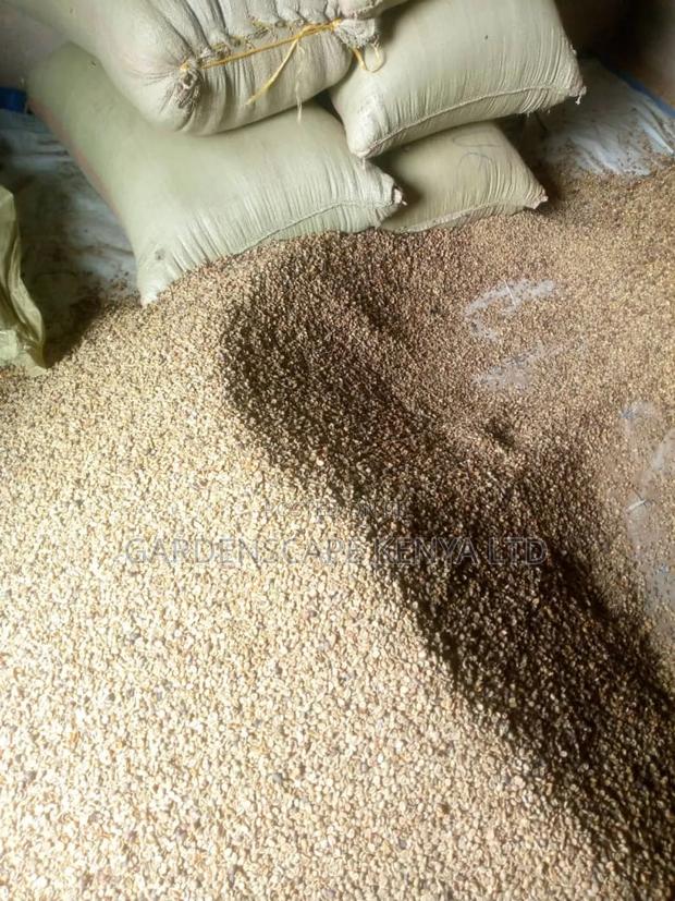 Arabica and Robusta Coffee - main view