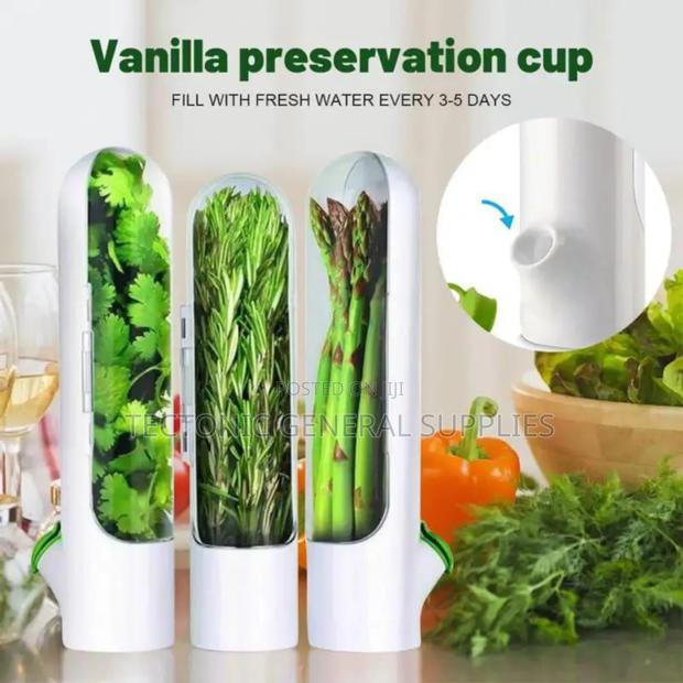 Fresh Herbs Fridge Storage Container - main view