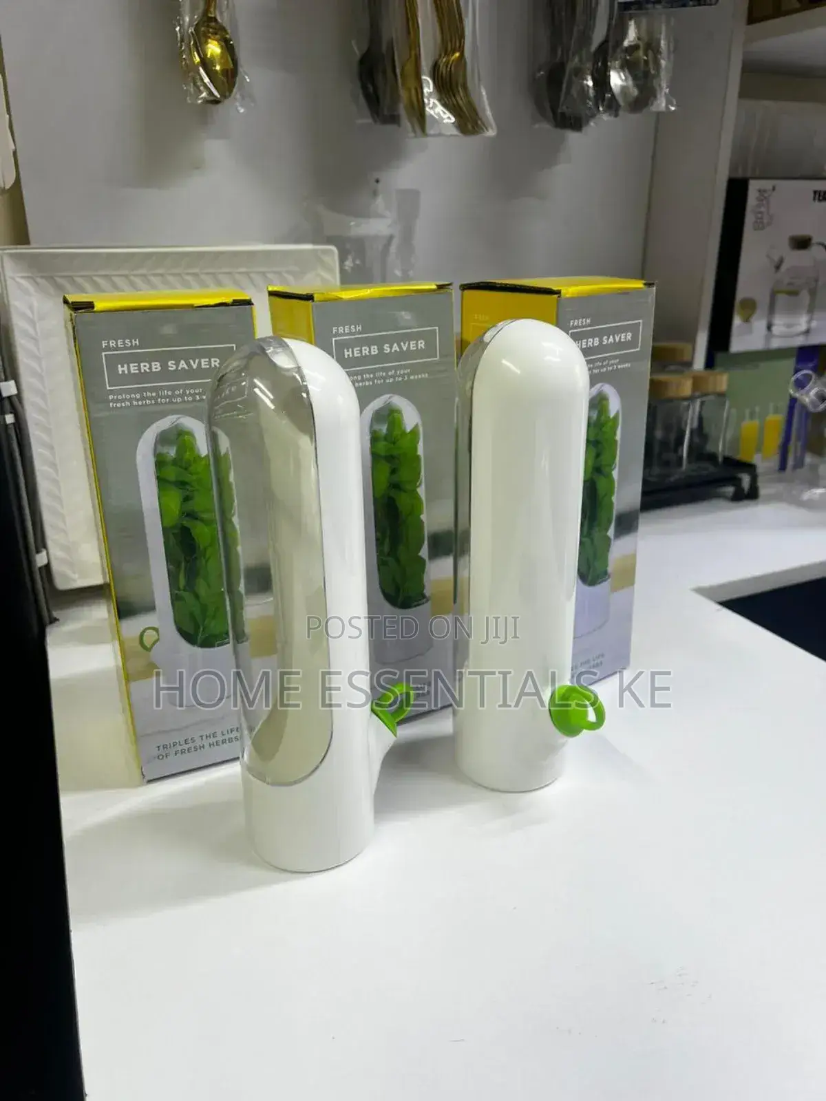 Fresh Herbs Fridge Storage Container