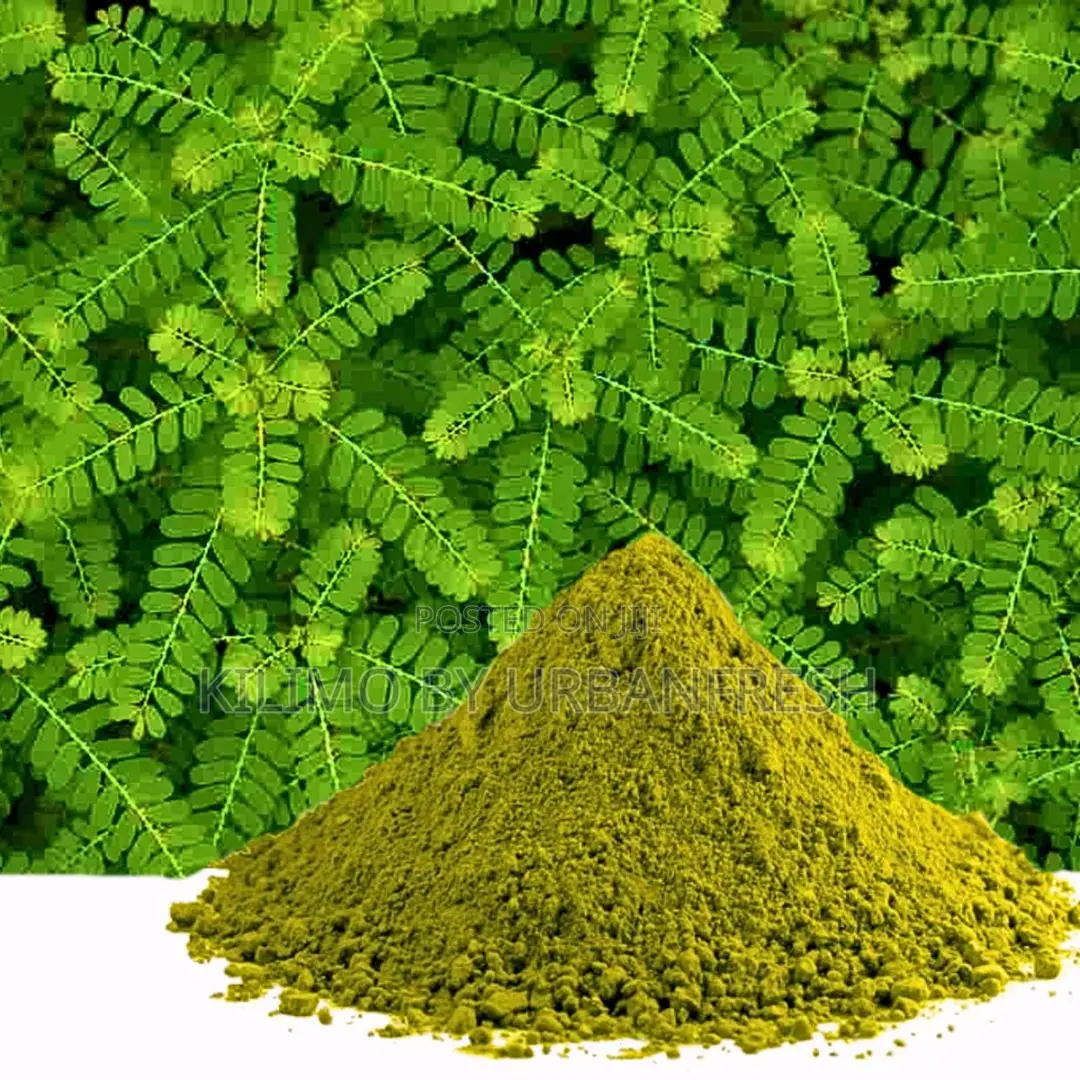 Chanca Piedra Powder 250g