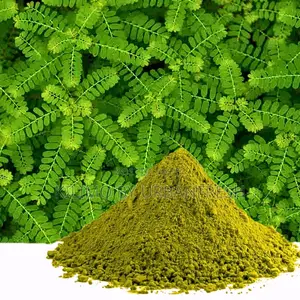 Chanca Piedra Powder 250g