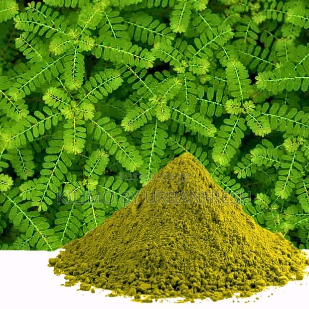 Chanca Piedra Powder 250g