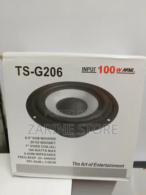Ts-G206 6.5" Sub Woofer With 100W Input for Entertainment