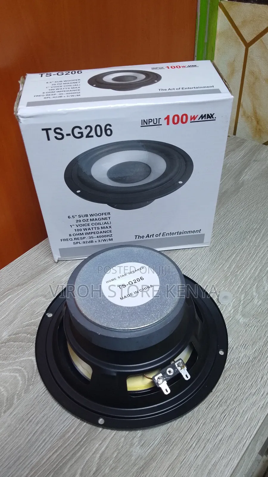 Naked Speaker 6.5 Inches 100 Watts 8ohms TS-G206 Speaker