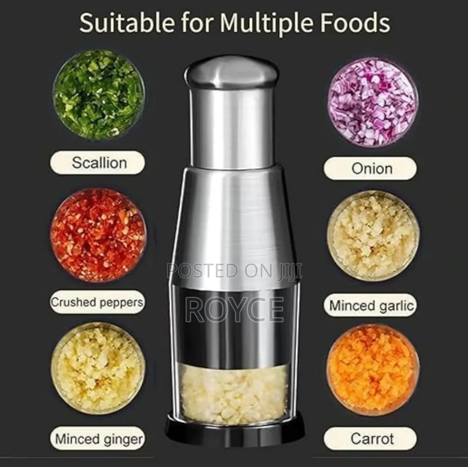 Multi Purpose Mini Chopper