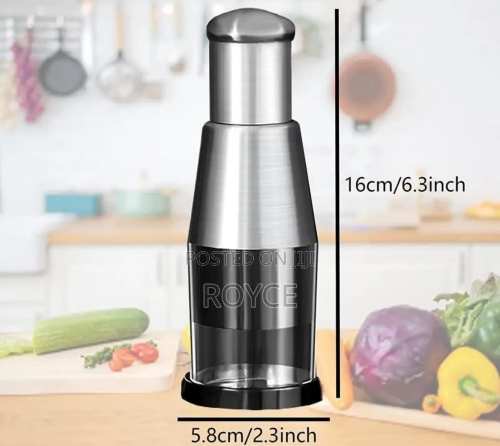 Multi Purpose Mini Chopper