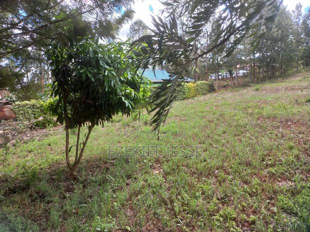 Prime 3 Plots for Sale – 5km From Embu Town - thumbnail 2