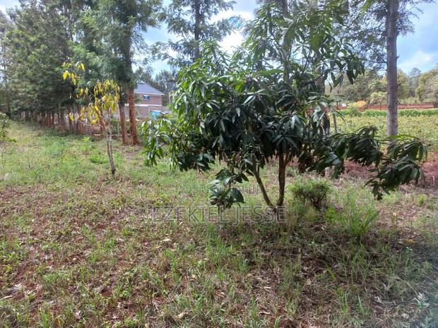 Prime 3 Plots for Sale – 5km From Embu Town - thumbnail 3