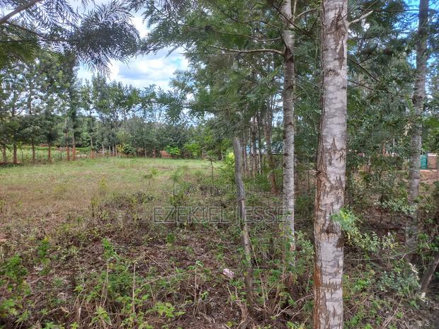 Prime 3 Plots for Sale – 5km From Embu Town - thumbnail 9